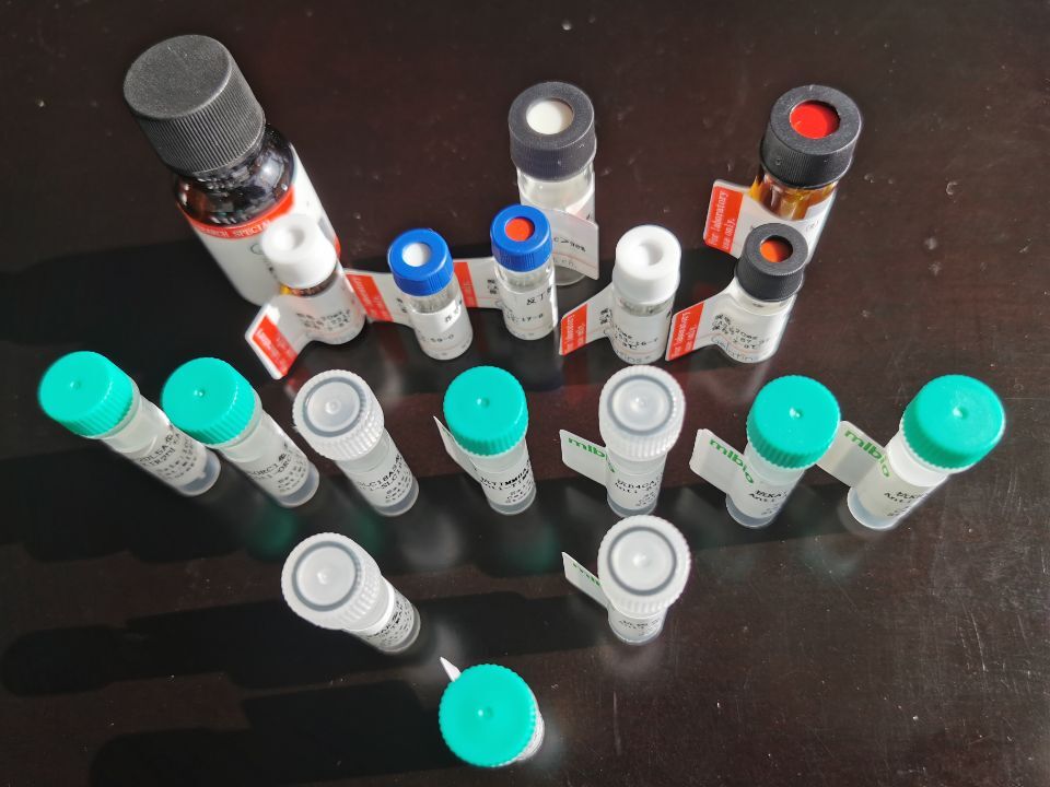  Cy3標記山羊抗大鼠IgG 