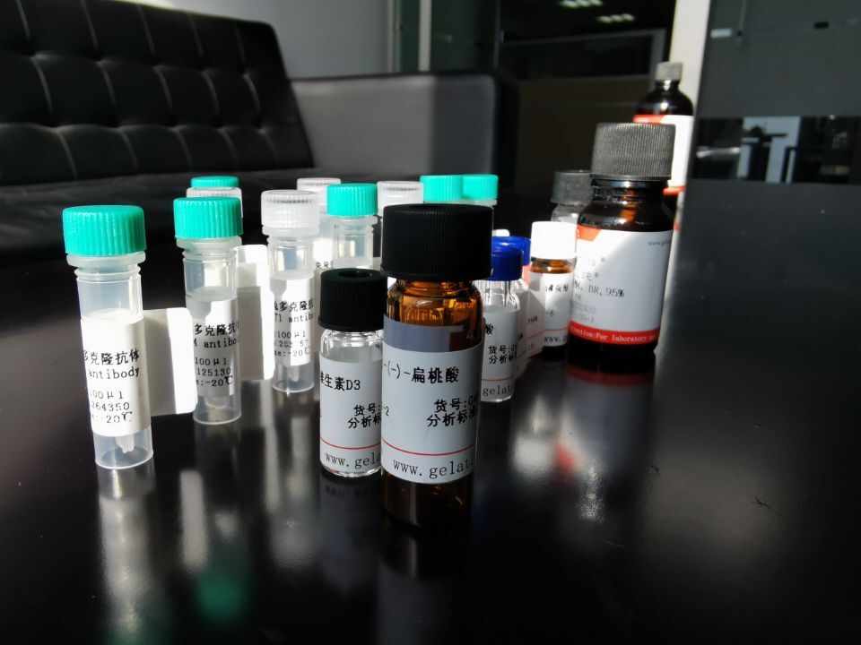 ZNF300抗原（重組蛋白）