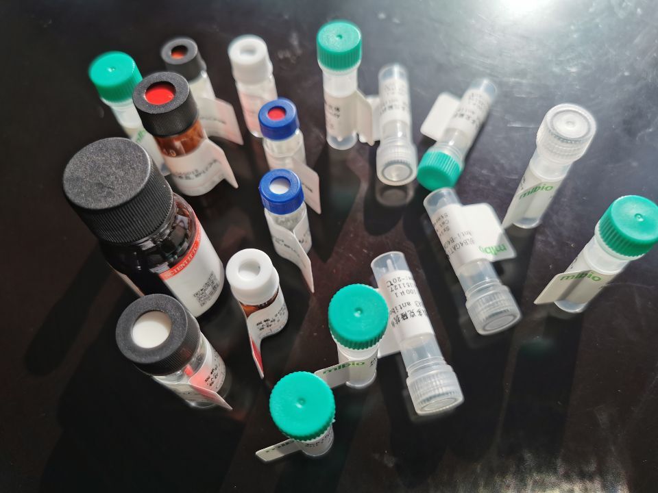 抗體親和純化預洗脫液