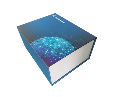 小鼠甘露糖結合蛋白;甘露糖結合凝集素(MBP;MBL)ELISA試劑盒