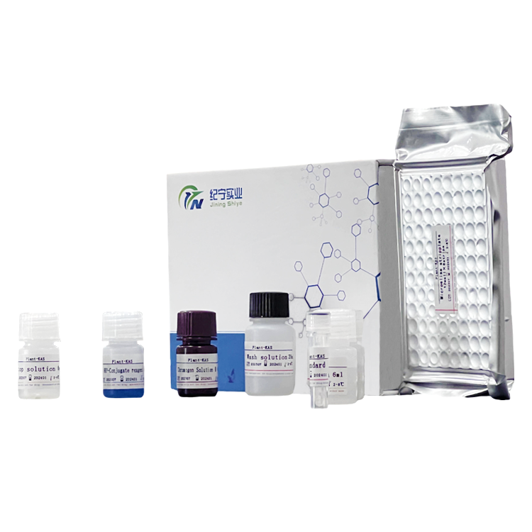 人血清淀粉樣蛋白A2(SAA2)ELISA試劑盒