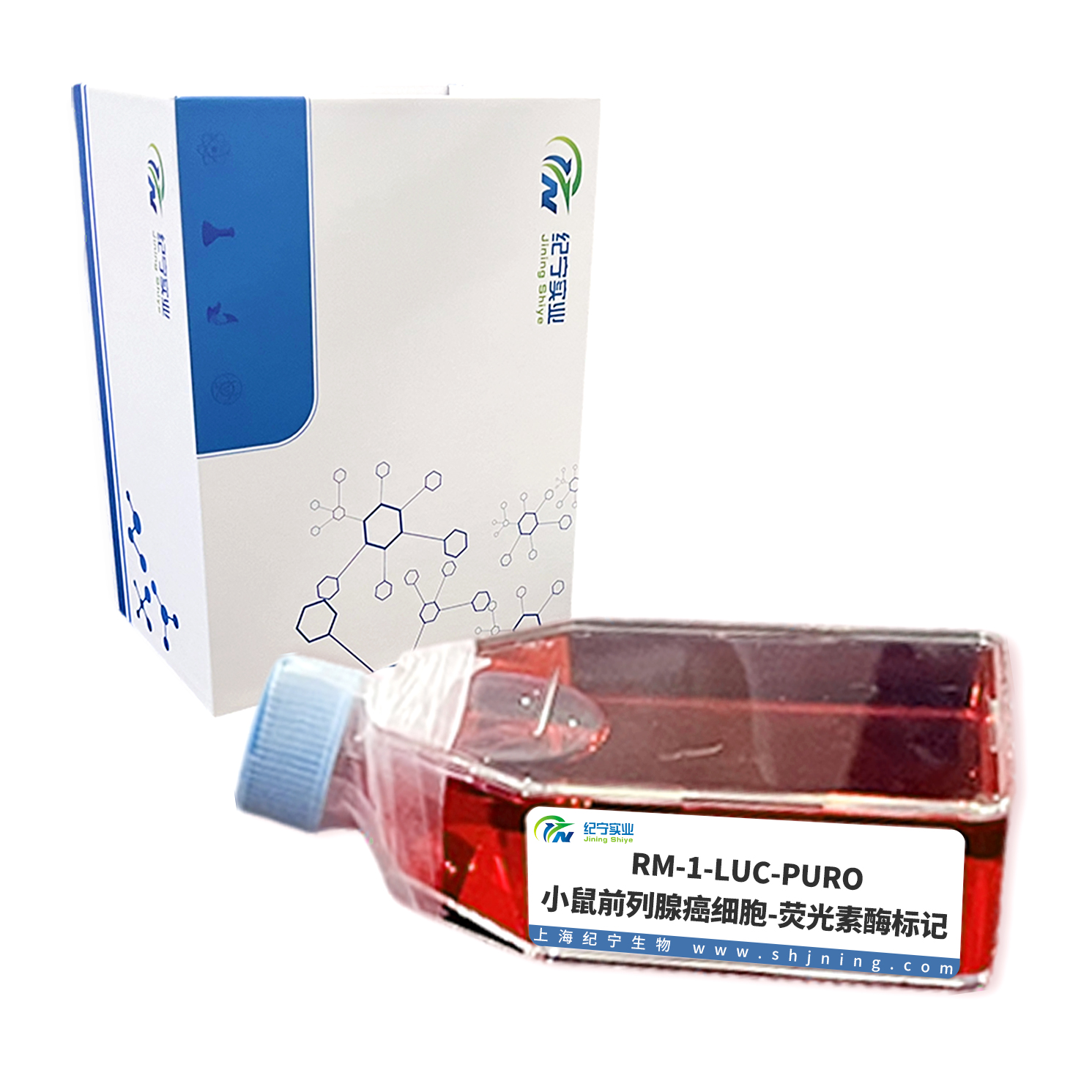 RM-1-LUC-PURO/小鼠前列腺癌細胞-熒光素酶標(biāo)記