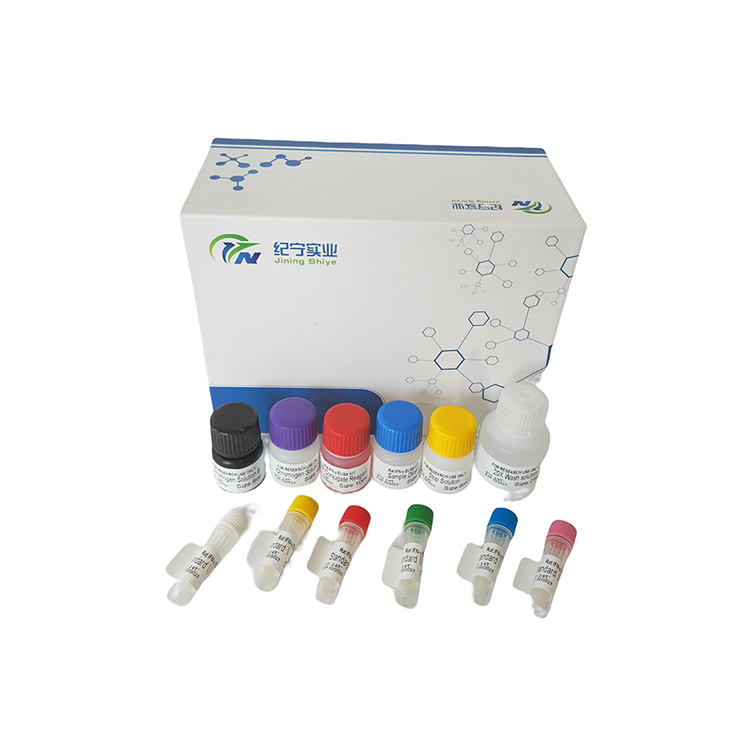 魚增殖細(xì)胞核抗原抗體（PCNA）ELISA試劑盒