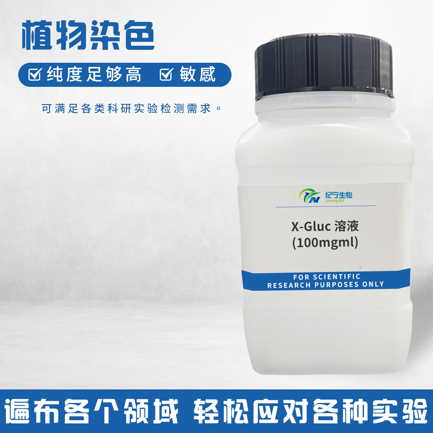 X-Gluc溶液(100mg/ml)