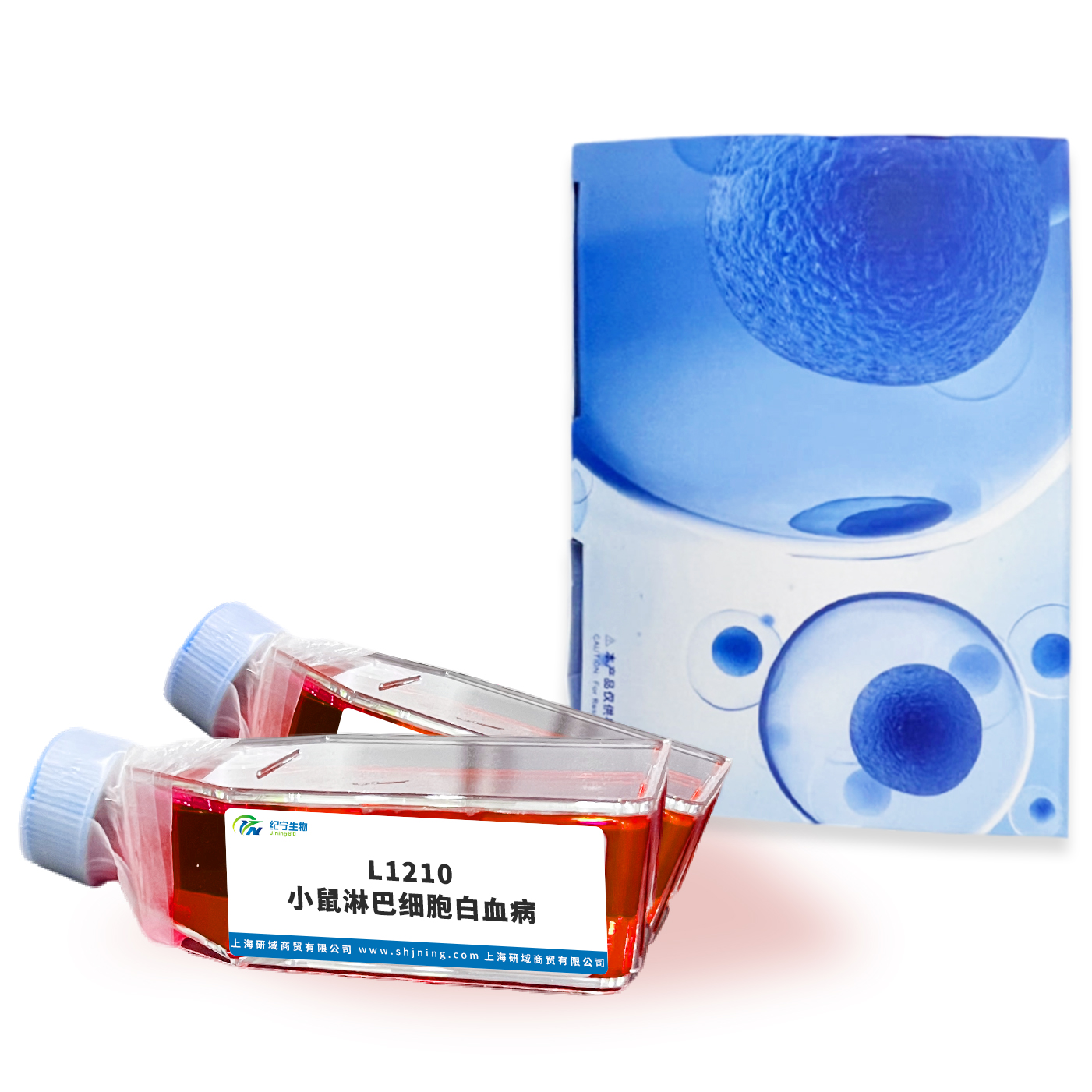 L1210小鼠淋巴細胞白血病 